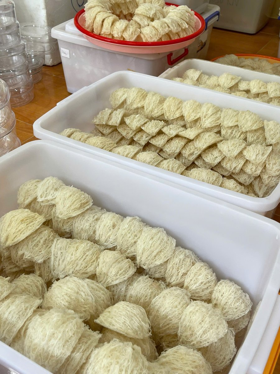 yensaohoangphi's tweet photo. Để tốt hơn mỗi ngày, Hoàng Phi chọn cách không ngừng làm việc
𝐘Ế𝐍 𝐒À𝐎 𝐇𝐎À𝐍𝐆 𝐏𝐇𝐈 𝐍𝐇𝐀 𝐓𝐑𝐀𝐍𝐆
Trực tiếp sản xuất &amp; sỉ lẻ
Yến rút lông cao cấp
Yến thô
Yến tinh chế
Nước yến chưng tiệt trùng
𝐆𝐈𝐀𝐎 𝐇À𝐍𝐆 - 𝐊𝐈Ể𝐌 𝐓𝐑𝐀 - 𝐓𝐇𝐀𝐍𝐇 𝐓𝐎Á𝐍 https://t.co/qXe66kJ6XF