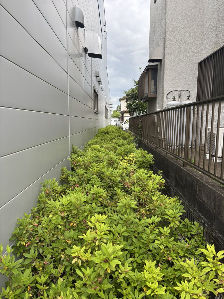 yutorop's tweet photo. 今年も https://t.co/c2JX4KqSWY