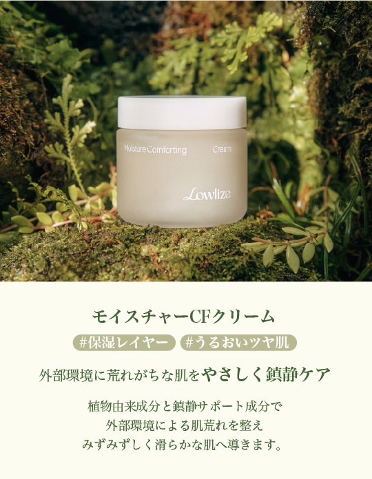 lowlize_jp tweet media