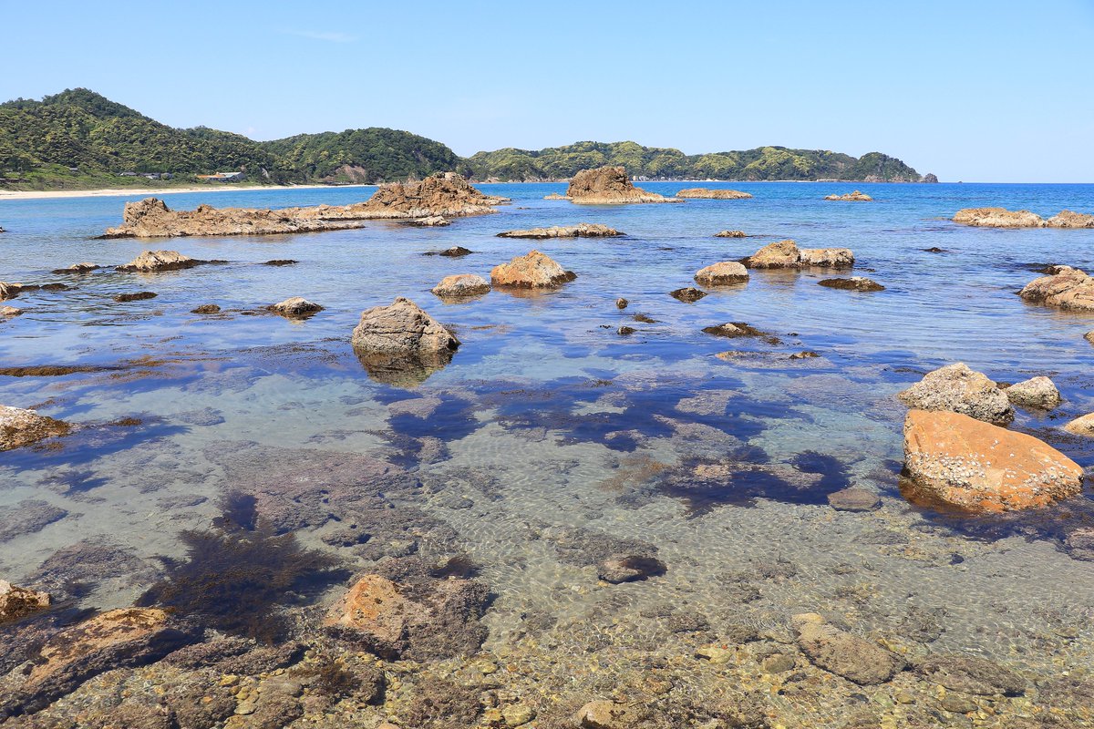ステージ浦富＠Web担当 tweet media
