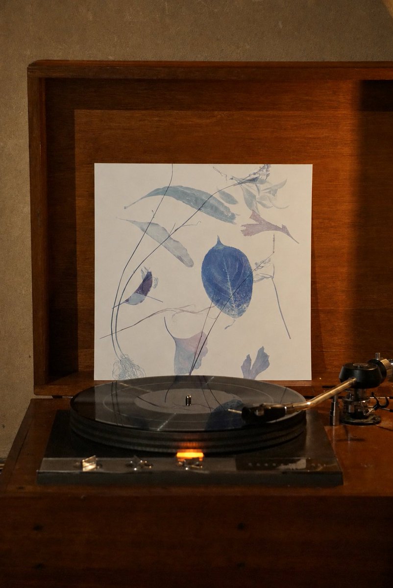 sibasikyoto's tweet photo. 📢浮、京都・しばしでのライブ盤『草蔭』のLPを8⽉26⽇（⽔）にリリース！

⽶⼭ミサによるソロ・プロジェクト 浮（ぶい）は、京都の⾳楽レーベル disk sibasi より⾃⾝初となるライブ盤『草蔭』（くさかげ）のLPを8⽉26⽇（⽔）にリリースする。 https://t.co/L19mM0SFcF