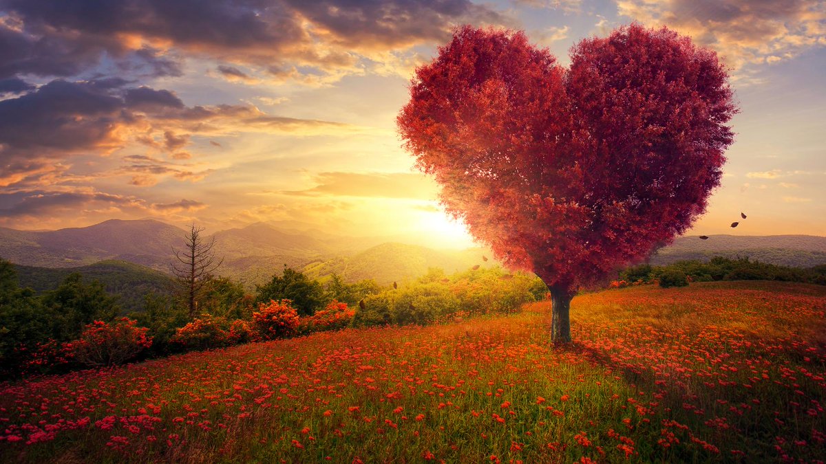 AbigailStellar's tweet photo. Connect to your heart for it is magnetic &amp; ask your heart whether you truly feel you deserve love, joy &amp; #abundance that awaits your higher path. #spiritualjourney https://t.co/0poabrgbzq