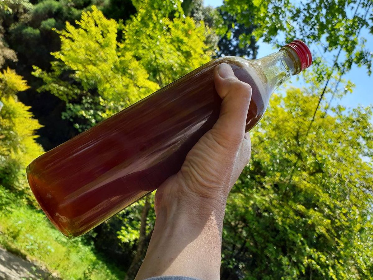 ハチミツ！
琥珀色の宝物🐝🍯

たくさん採れるように知識を増やし技術を磨かないとね