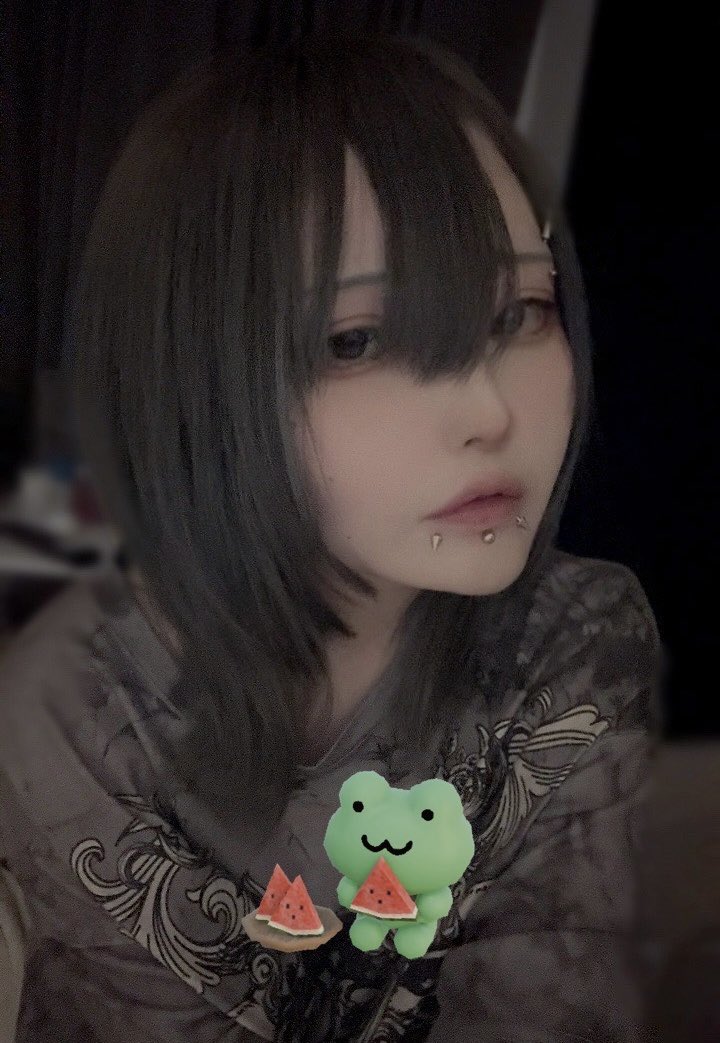 ねこですよろしくおねがいします tweet media