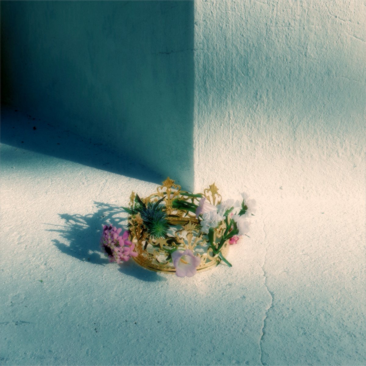skream_japan's tweet photo. シンガー・ソングライター Foi、優しい季節に寄り添う新曲「君の国」5/13デジタル・リリース。SNSでショートMV公開
https://t.co/WDt9GrEiHV

#Foi 
#君の国 https://t.co/gw22UDHwZ9