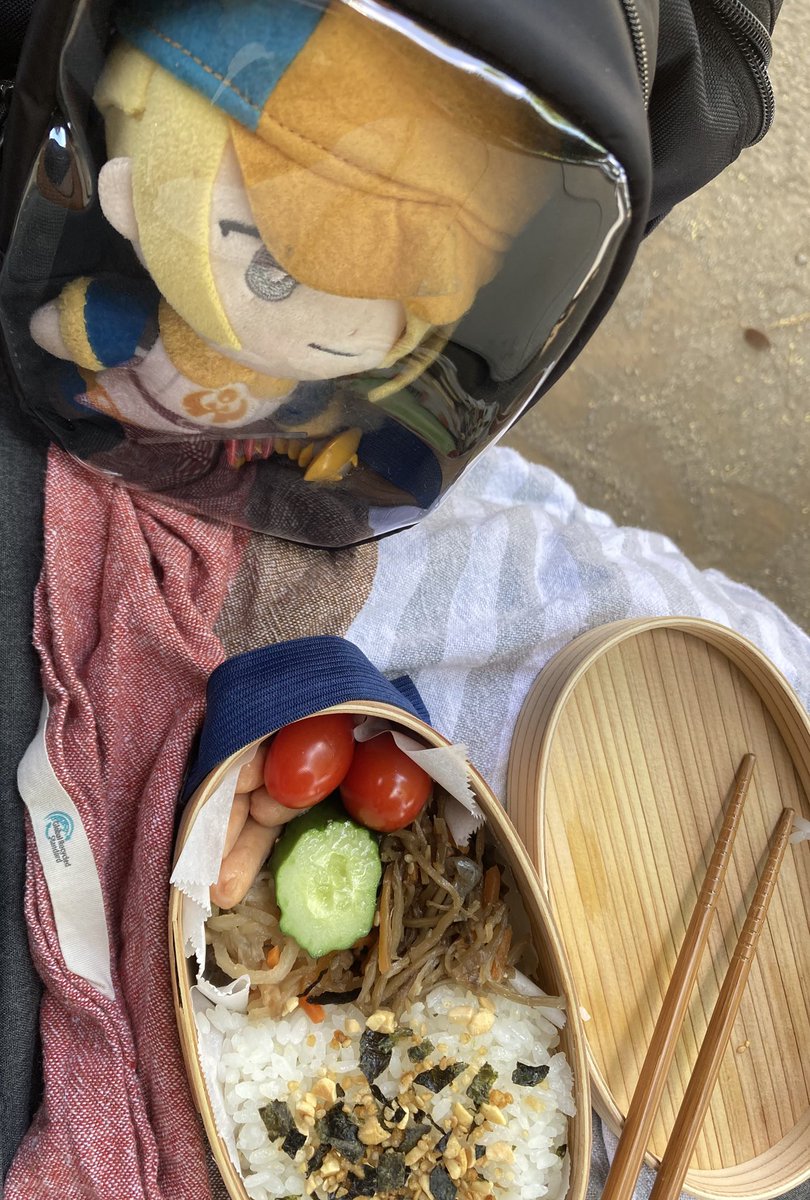 fudegeras's tweet photo. 異動先の部署が嫌すぎてぬい連れてきて公園で一人で飯食ってるwww楽しい https://t.co/f8a5D5Y70q