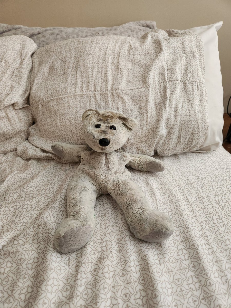 helpfulteddy's tweet photo. I love you all this much!! https://t.co/dGoev7MTYq