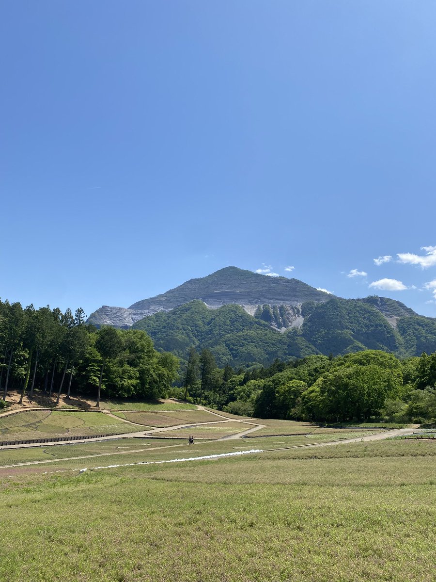 10_Daijiji's tweet photo. 先日、羊山公園に行って来ました。
天気が良く、風の気持ちが良い日でした🌿

芝桜の花は終わってしまいましたが、緑の芝桜と天気の良い日の武甲山の組み合わせもなかなかではないでしょうか☺️✨

【令和8年は午歳総開帳！】
#秩父 #秩父札所 #御朱印巡り #巡礼 https://t.co/a5NUgoo8dc