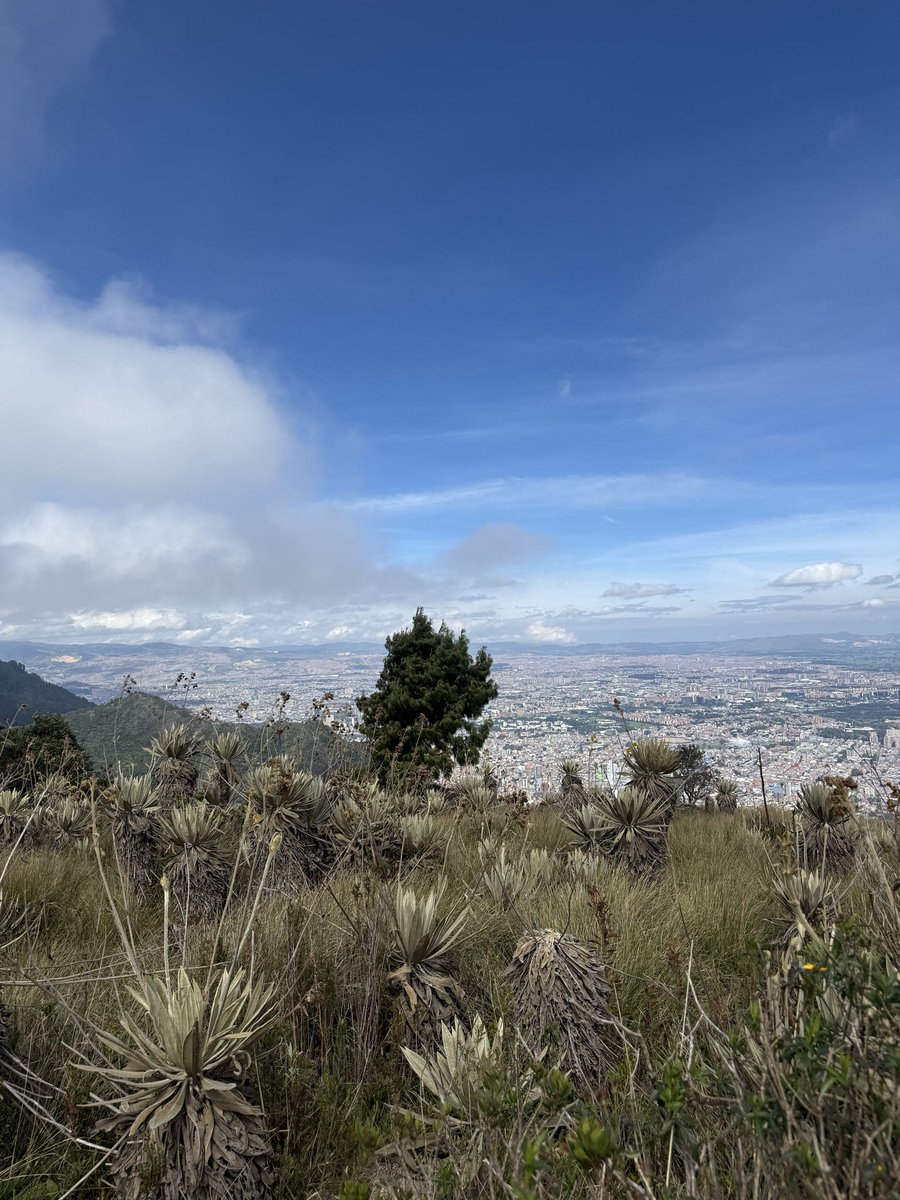 karypolis's tweet photo. La mejor forma de pasar un domingo. https://t.co/eXsjsrnaCP