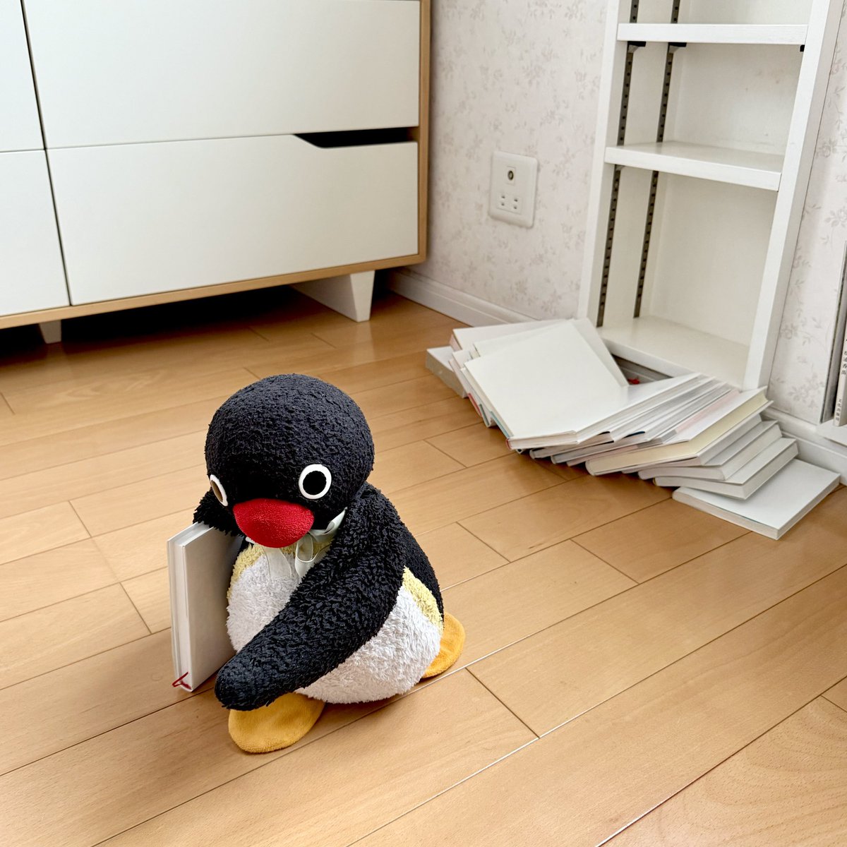 pingmyping tweet media