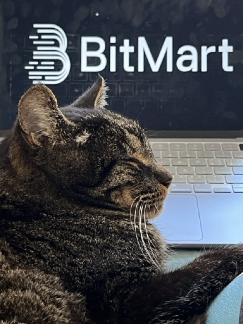BitMart tweet media