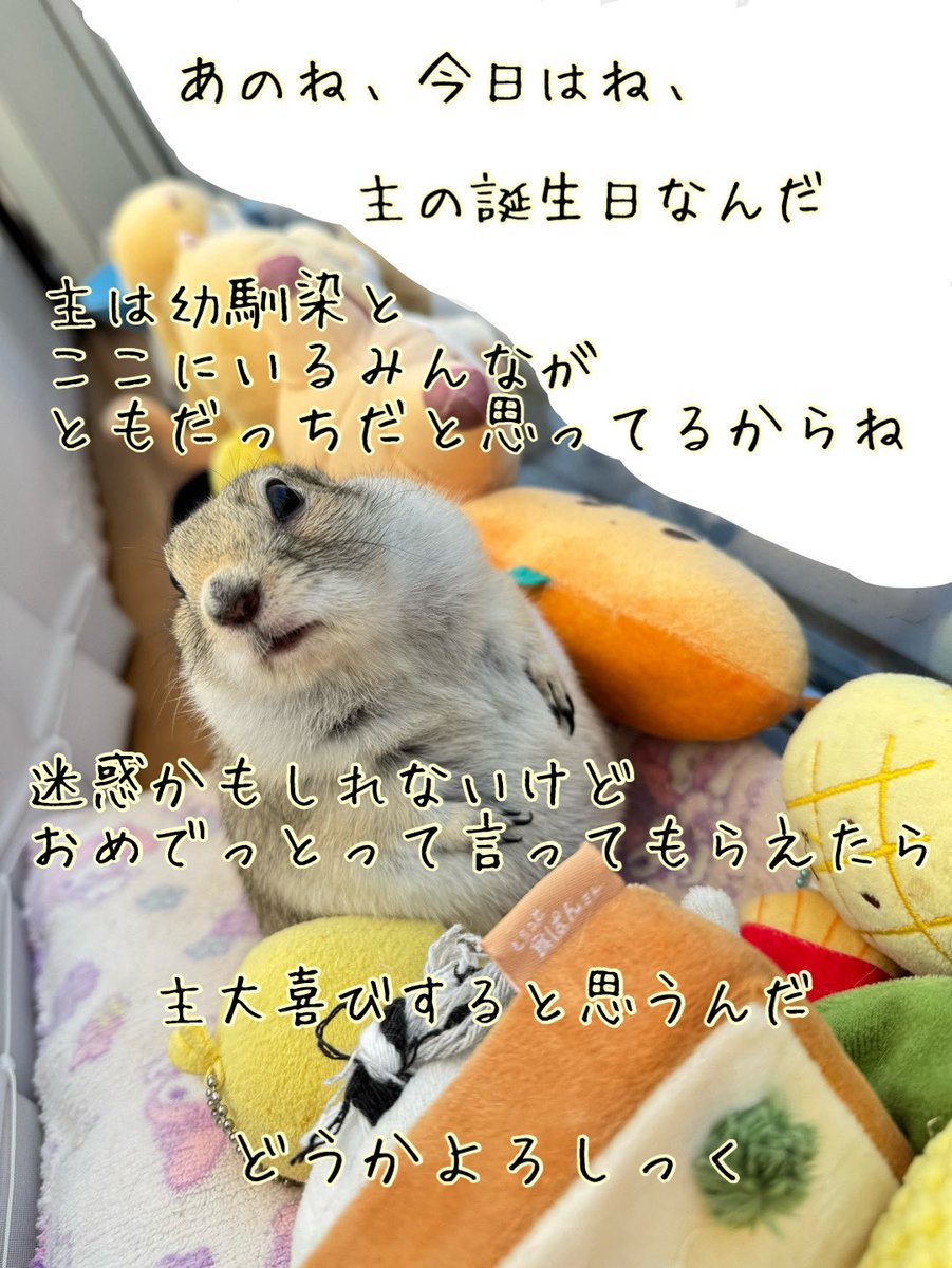 まろぜんヒーター tweet media