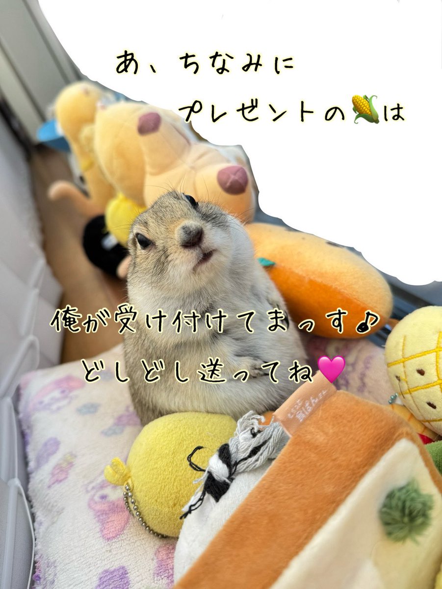 まろぜんヒーター tweet media