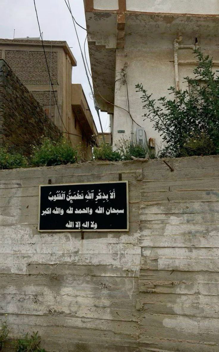 متعب tweet media