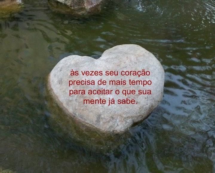 ༘ tweet media