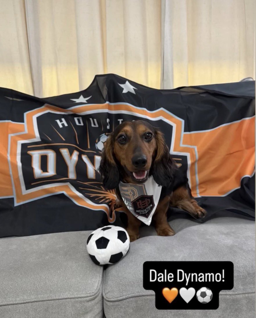 MsLimas8's tweet photo. @HoustonDynamo Chancho is forever team Dynamo 🐾⚽️🧡 https://t.co/E1BFPI6Hno