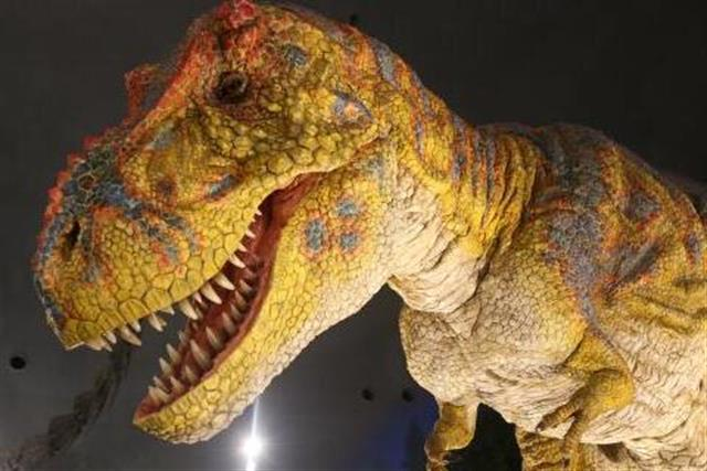 orion_nagoya's tweet photo. 🌞SUMMER 2026🦖
岐阜・名古屋発🚍

✅福井県立恐竜博物館（120分滞在）
✅小牧かまぼこ（お買い物30分）
✅日本海さかな街（選べるランチ75分）

お子様連れの家族旅行にもオススメ！
夏休みは日帰りバスツアーに行こーヾ(o´∀｀o)ﾉﾜｧｰｨ♪
➡https://t.co/057bY2Gc5B

#旅行会社
#オリオンツアー https://t.co/yoi7P5SYPU