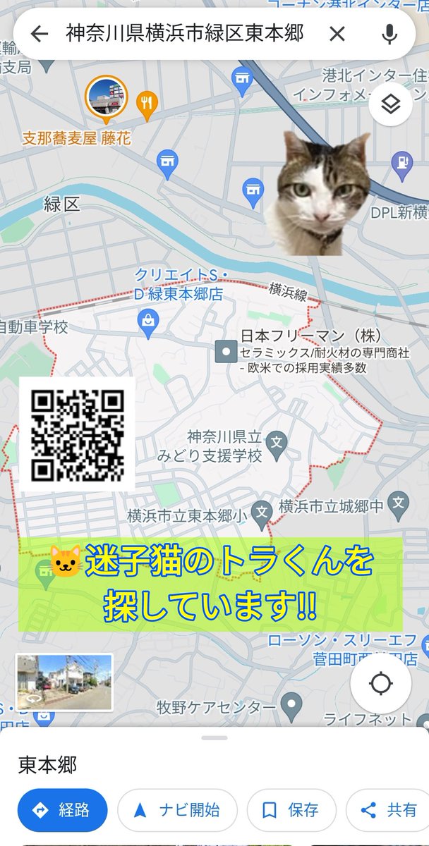 iowancows's tweet photo. 🐱トラくん
23年11/26 神奈川県横浜市緑区東本郷
または神奈川区菅田町より迷子に

キジ白ハチワレさん
当日は唐草模様の鈴つきの首輪(名前＋携帯番号記入のチャーム)着用

目撃･保護情報、どんな些細なことでも👇飼い主様まで連絡お願いします🙏

#猫好きさんと繋がりたい
#迷子猫
#迷い猫 https://t.co/tkpLuleAOt