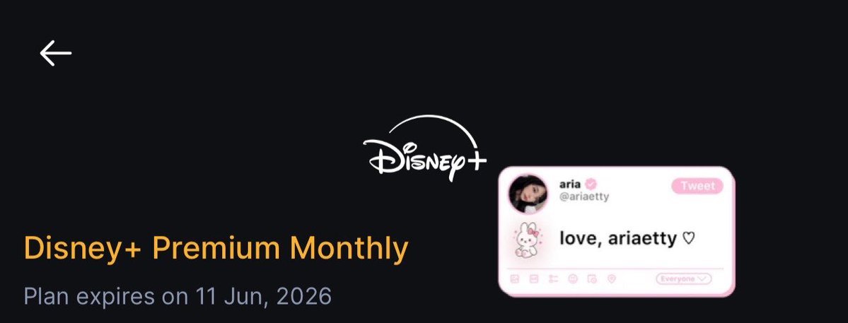 ariaetty haven 𝜗ৎ tweet media