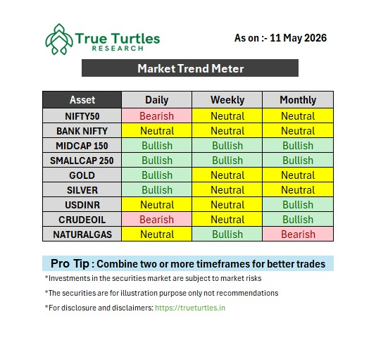 TrueTurtlesHQ's tweet photo. https://t.co/M49RU73EL5