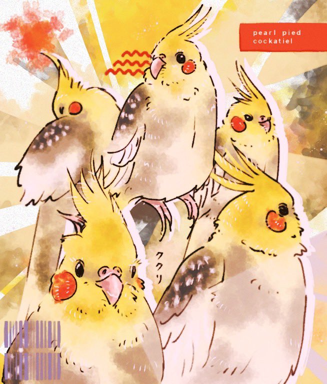 我が家のククリちゃん描いた🐥