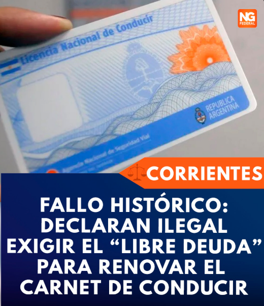 Tv Pública Libertaria tweet media