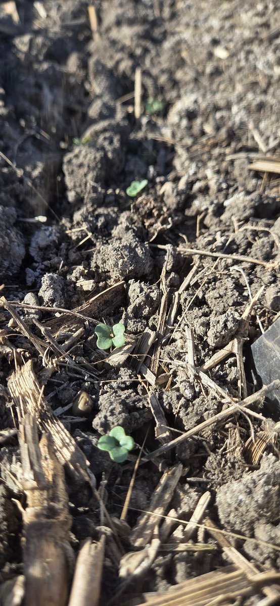 twostarfarmer's tweet photo. #sundayscout https://t.co/slFnE4xRMi