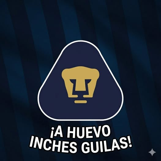 Descomposición Social Mexicana (@el_epazote_df) on Twitter photo 