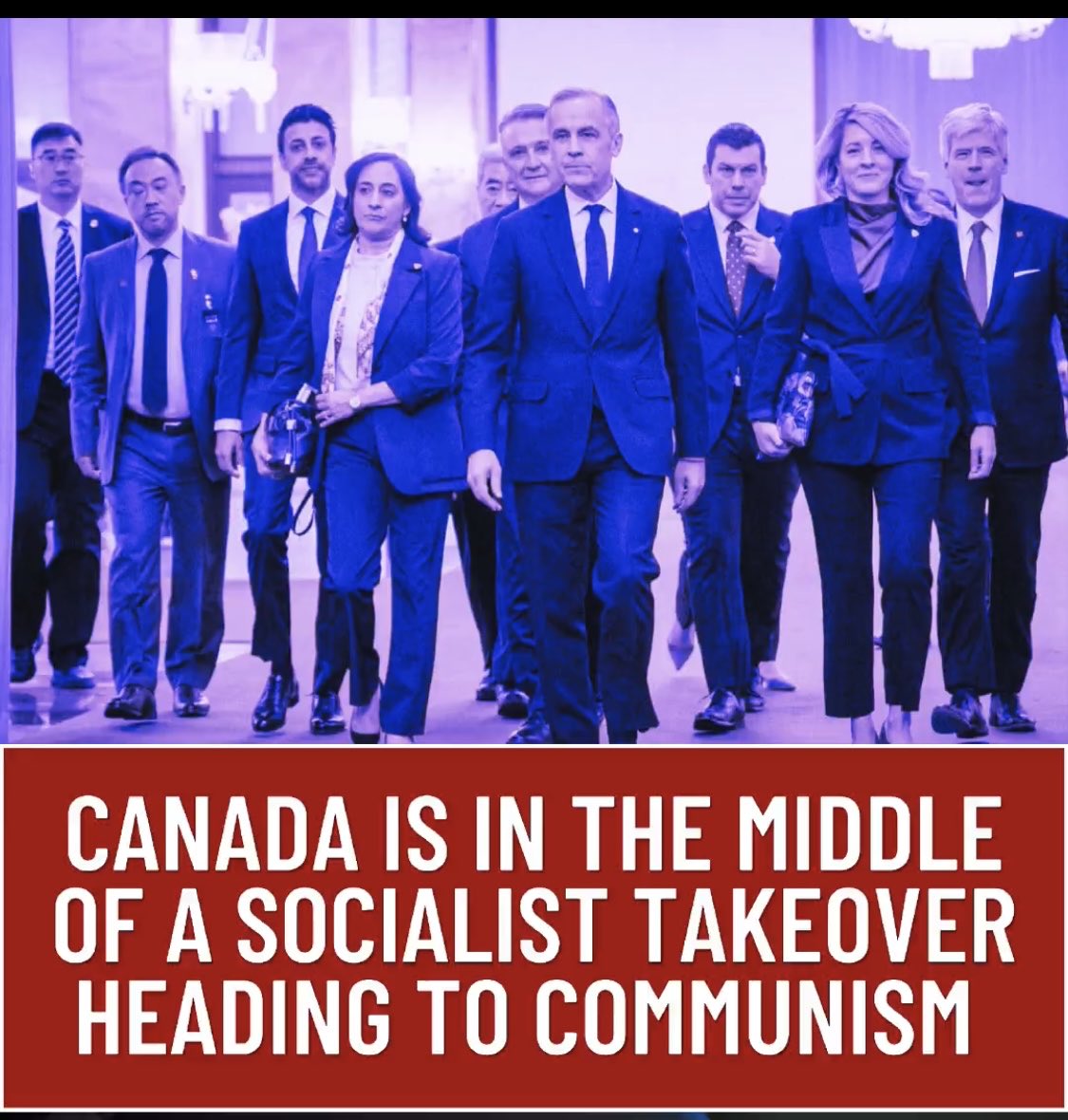 Great Canadian Moose tweet media
