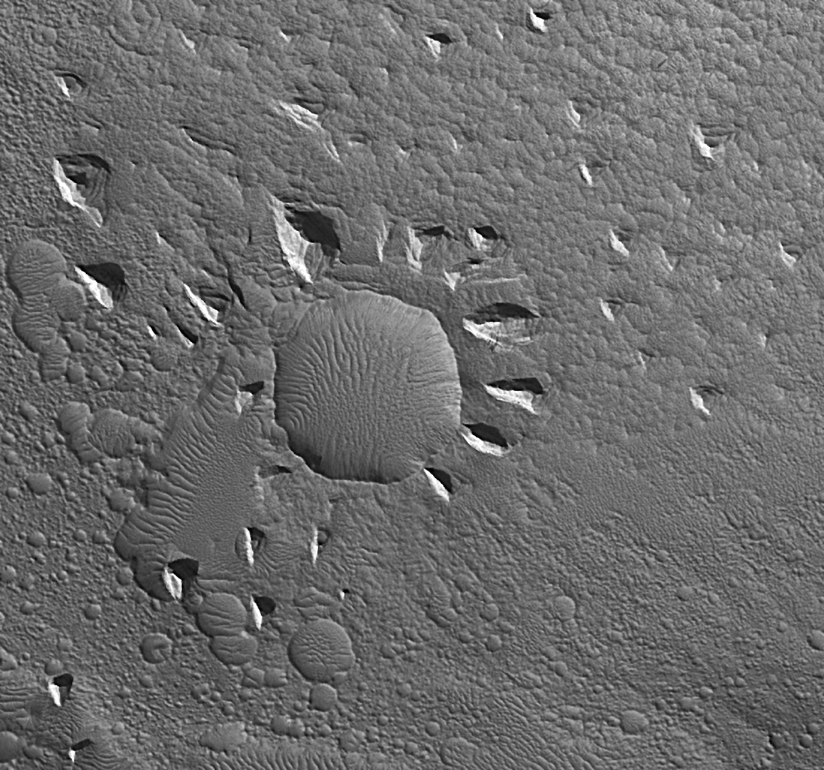 MARS_REVEALER tweet media