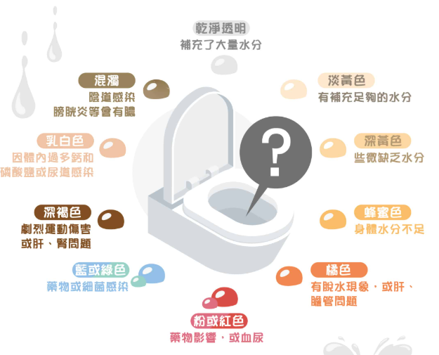 迷思拆解_Panda🐼🐼 tweet media