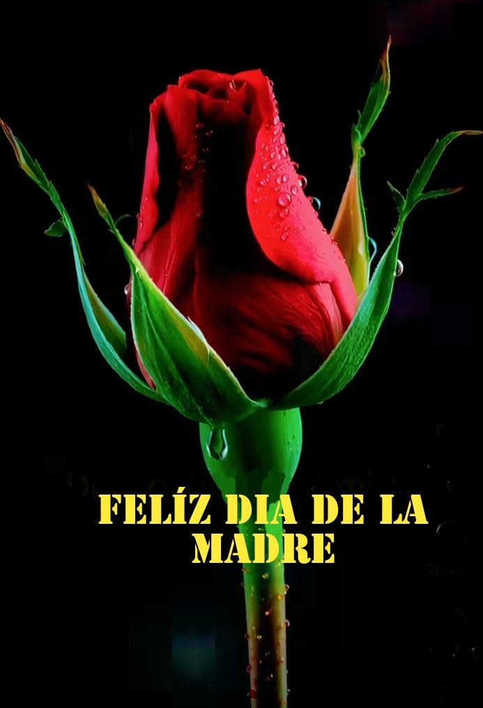 Gilberto.S tweet media