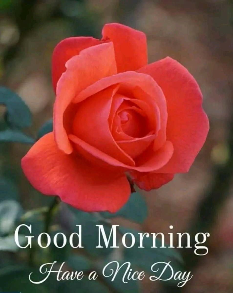 Kamalakar Arya tweet media