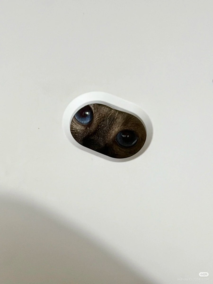 Me hiding from my problem