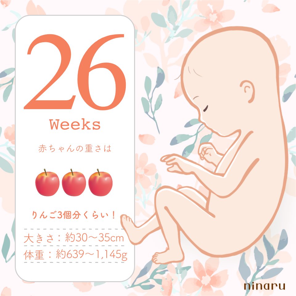 towa🌻26w tweet media
