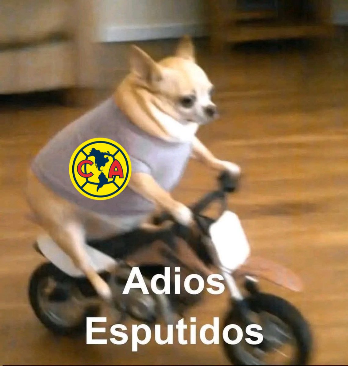 Nos despedíamos… Pero terminaron cagados jajjaja 🙂‍↔️😌