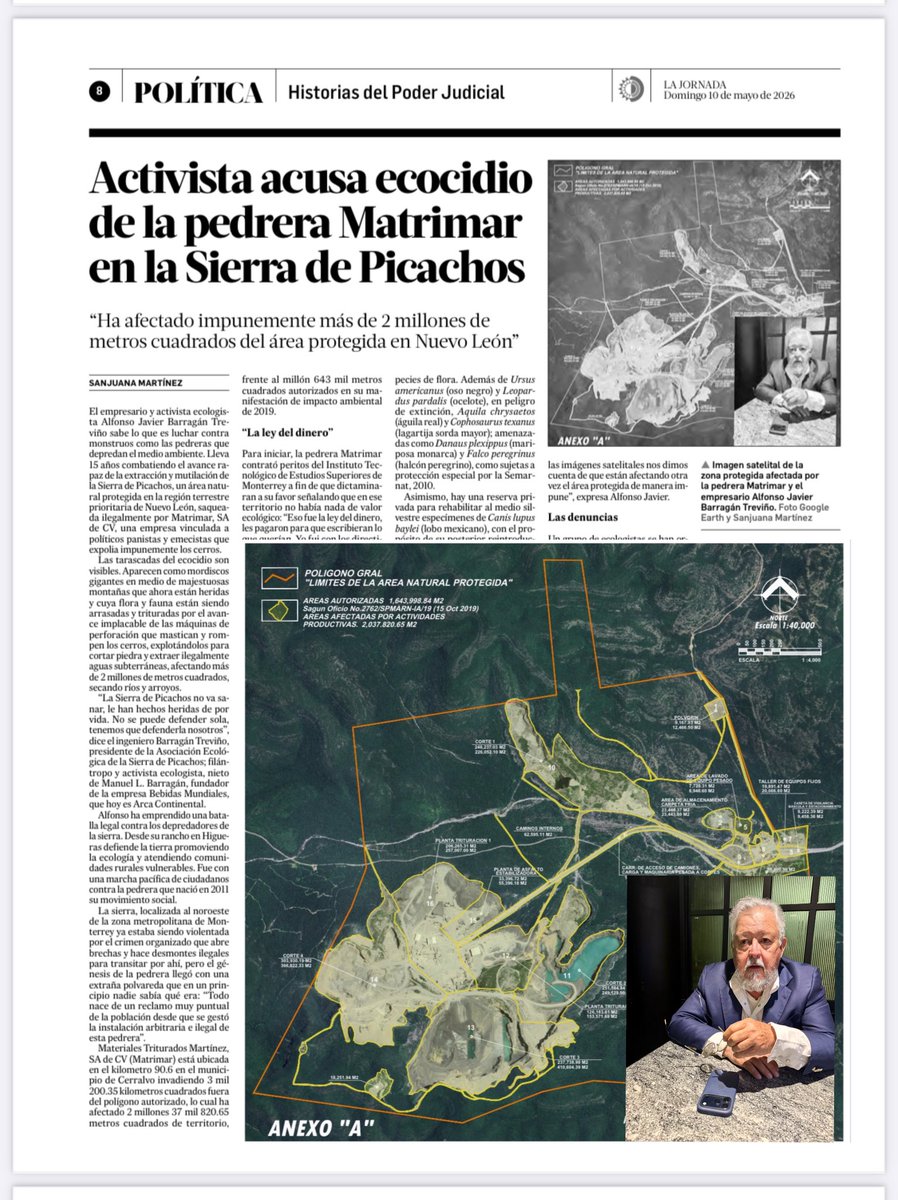 Sanjuana Martínez Montemayor tweet media
