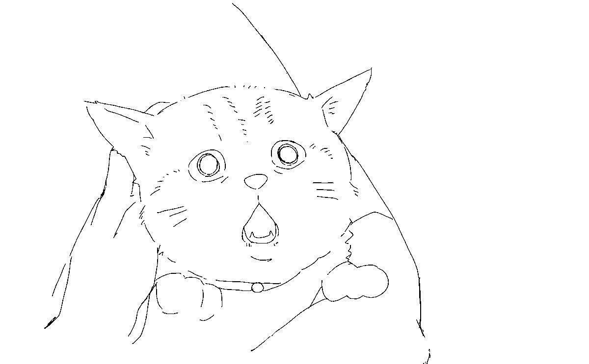 旦那猫 