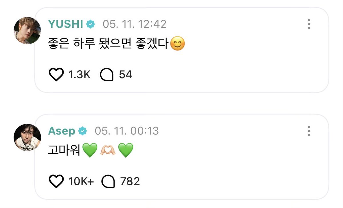 🥟 tweet media