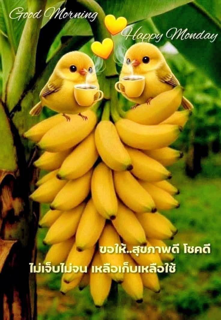 ko@1959 tweet media