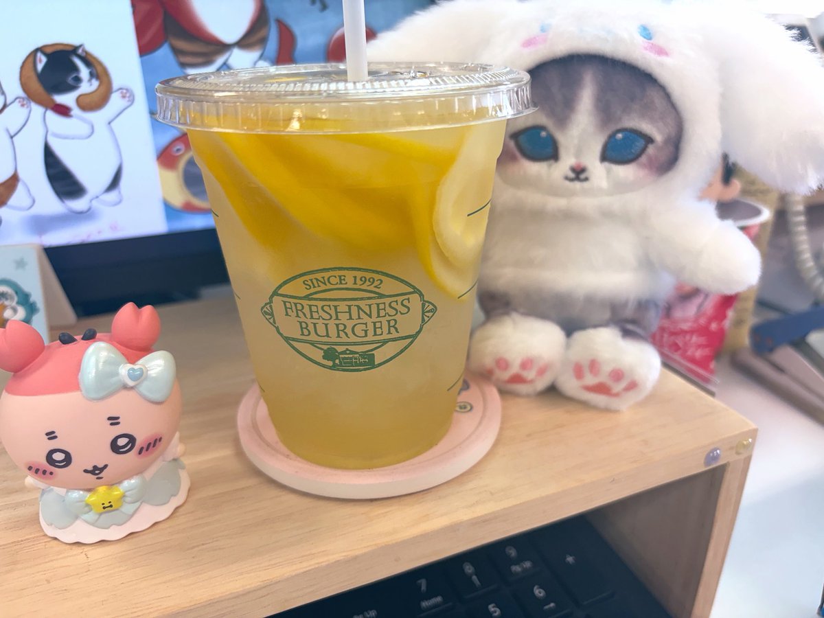 🐈mieo🫧 tweet media