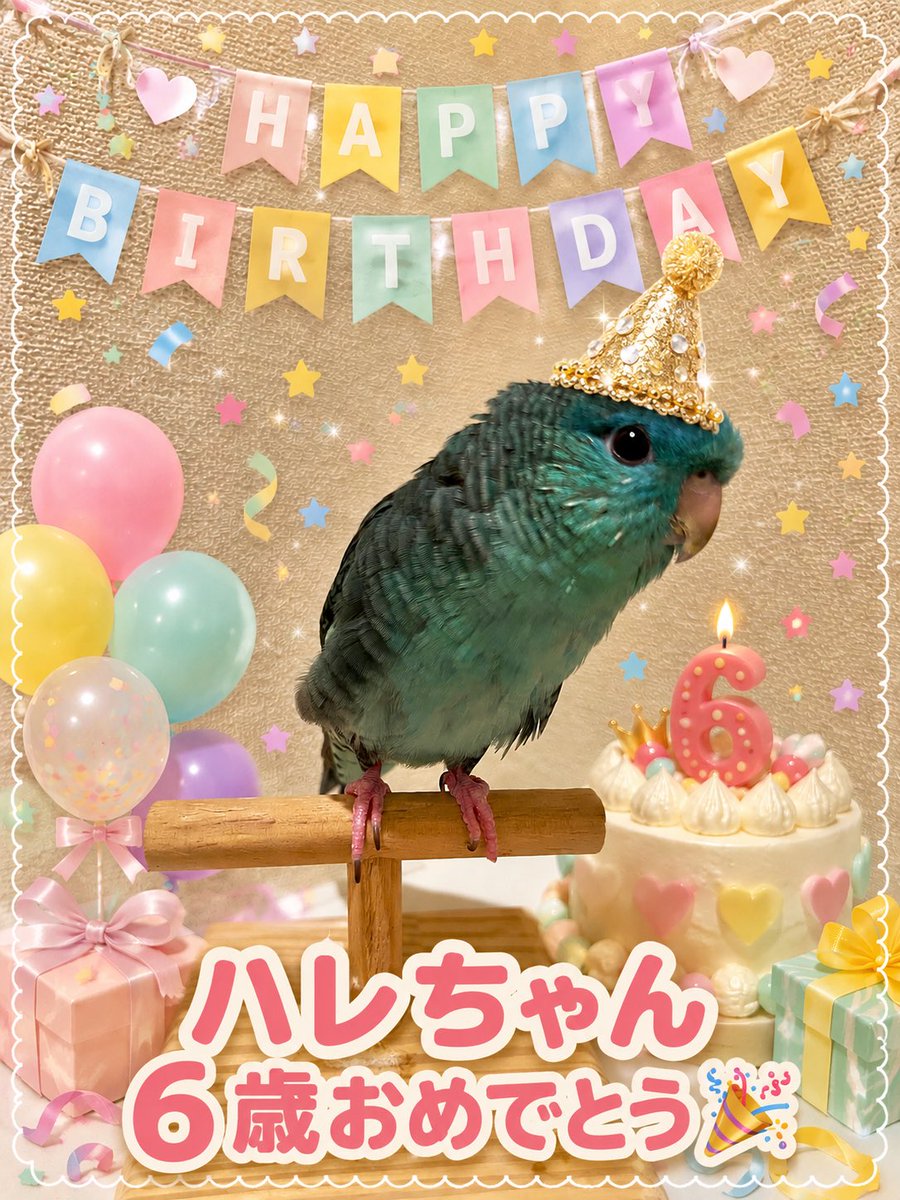 ハレ☀️ tweet media