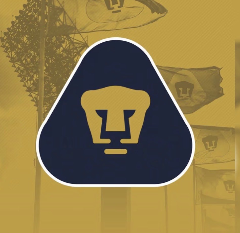 GenaroRuizMX's tweet photo. Piel Azul y Oro #Pumas @unam https://t.co/cyGOZkWcnB