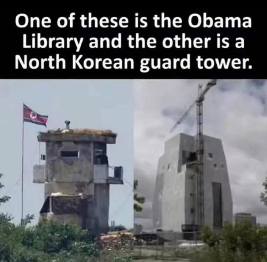 bigwoods🇺🇸 tweet media