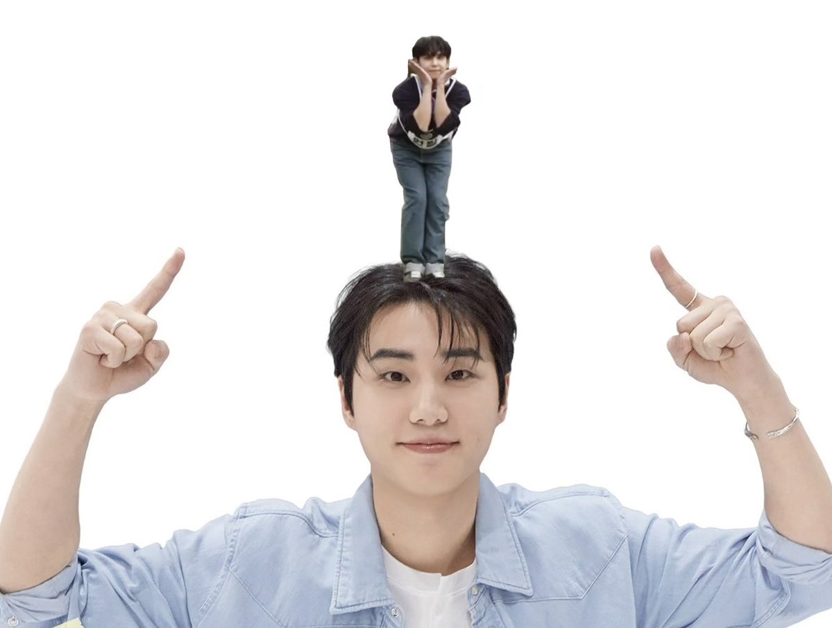 노스 tweet media