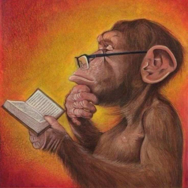 Beazoca que te broca tweet media