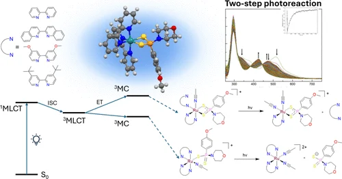 bhkenlo's tweet photo. Photoreactivity of Ru2+ Polypyridyl Complexes Bearing the H2S-Releasing Compound GYY4137 | Inorganic Chemistry https://t.co/FmJpF8aKkc Wilson and co-workers @InorgChem #ruthenium #H2S #releasing #GYY4137 #DFT #MLCT #MC https://t.co/k16c27yJEF