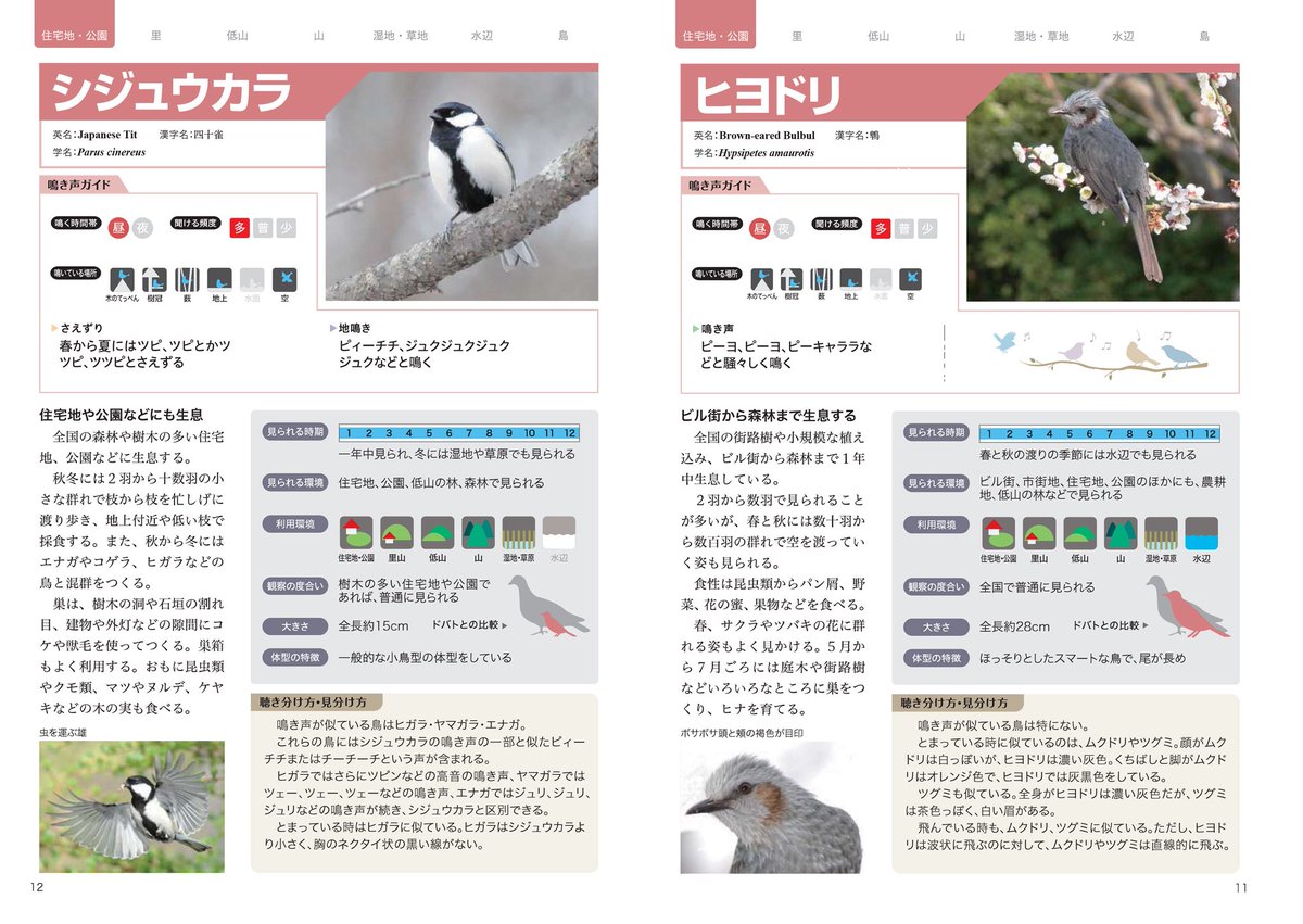 りんページ 5/10〜5/16は #愛鳥週間 ということで、 鳥にまつわるおすすめの本をご