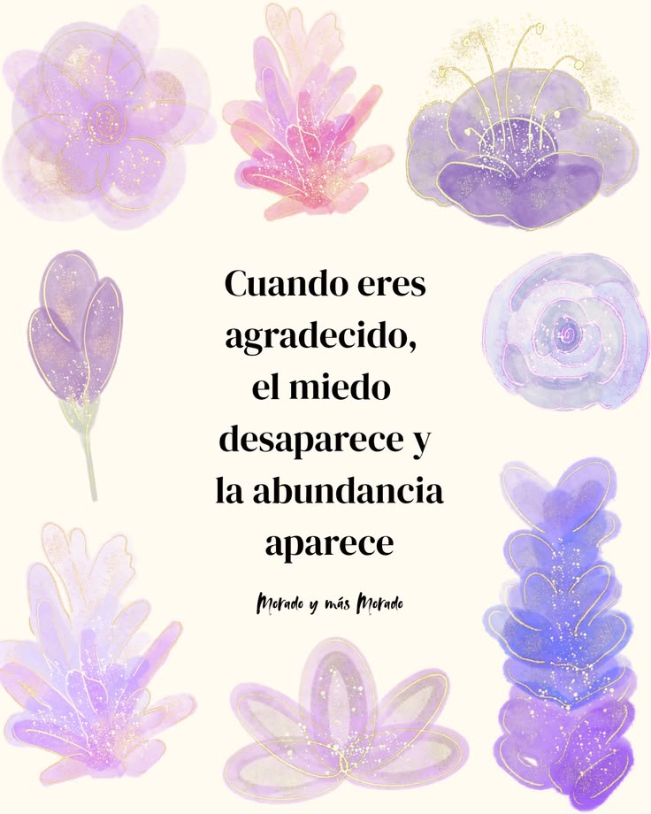 Diana Laura tweet media