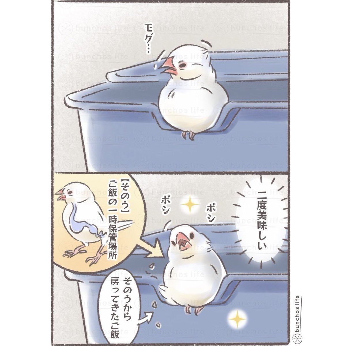 Sonege (@Sonege0123) / Posts / X